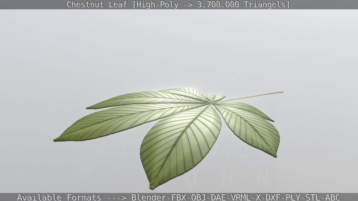 Chestnut Leaf High-Poly 3D model_29