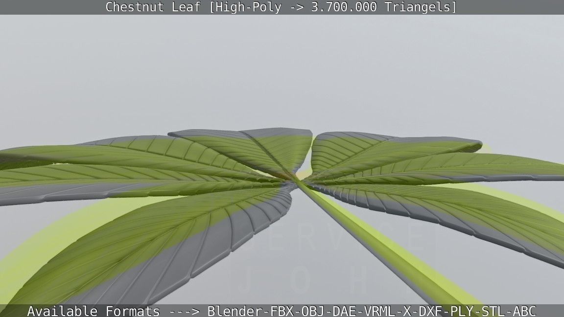 Chestnut Leaf High-Poly 3D model_111