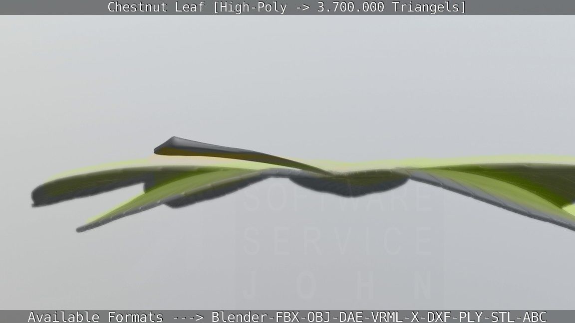 Chestnut Leaf High-Poly 3D model_73