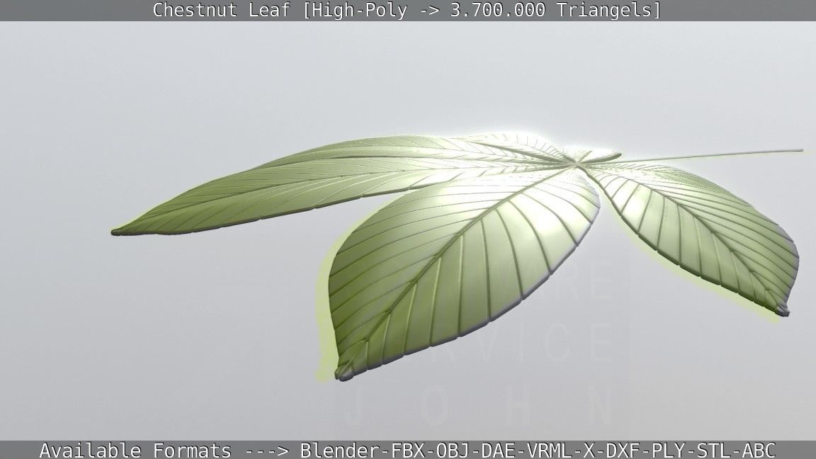 Chestnut Leaf High-Poly 3D model_57
