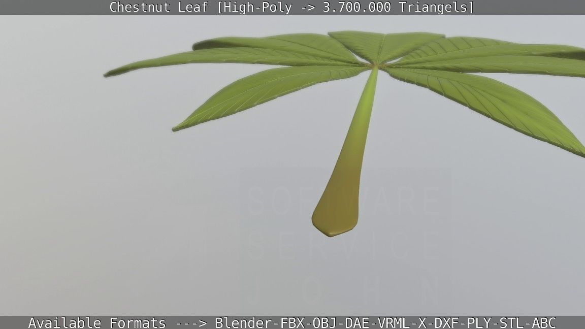 Chestnut Leaf High-Poly 3D model_68