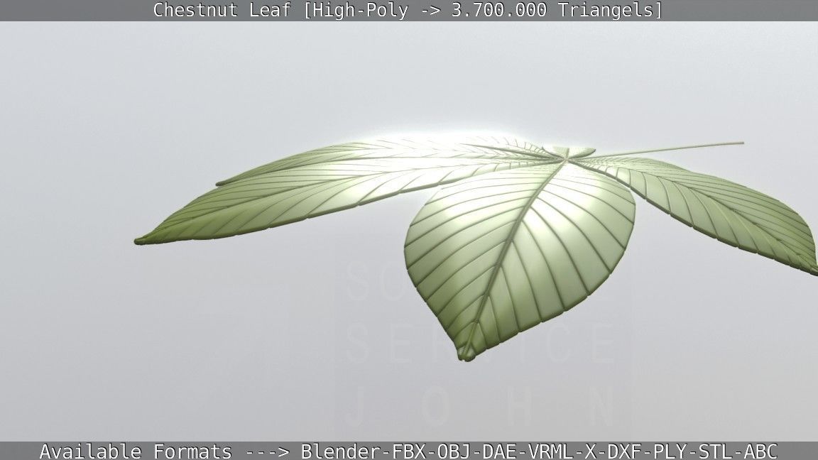 Chestnut Leaf High-Poly 3D model_31