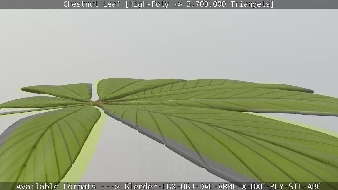 Chestnut Leaf High-Poly 3D model_109