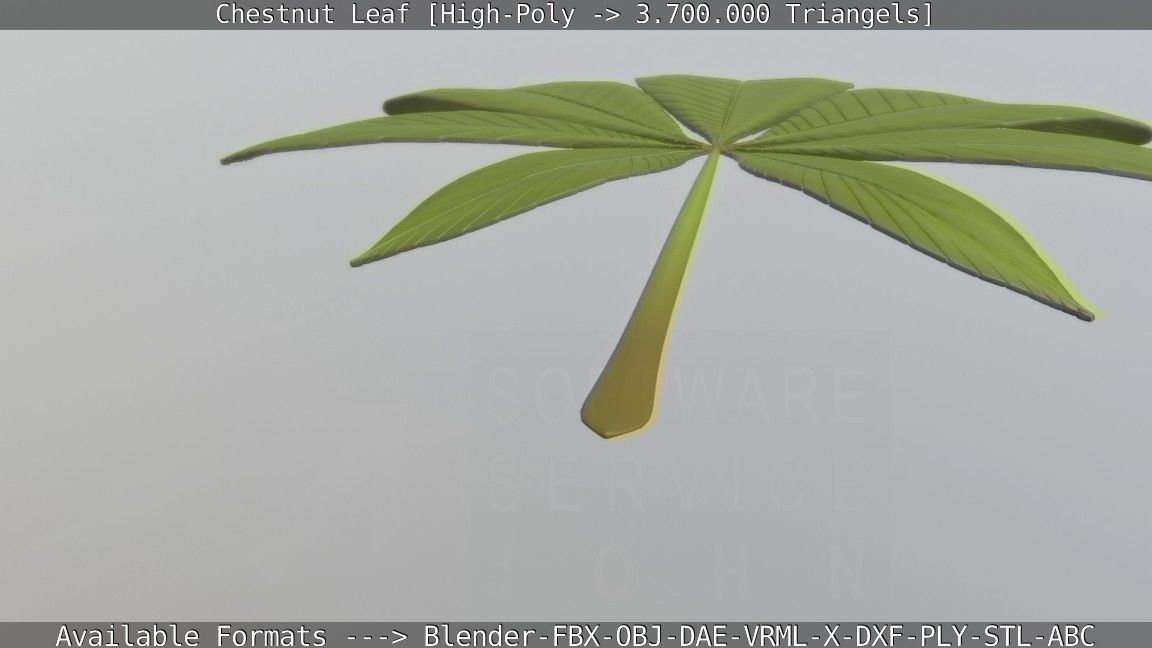 Chestnut Leaf High-Poly 3D model_66