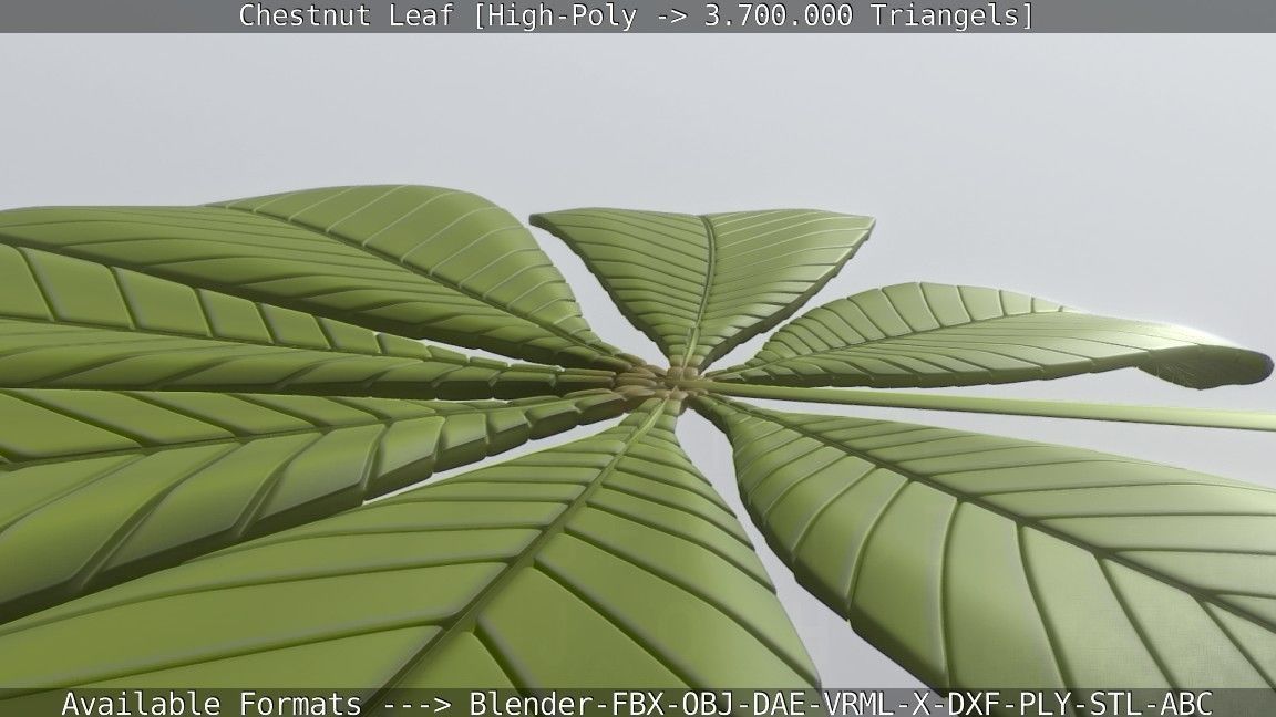 Chestnut Leaf High-Poly 3D model_92