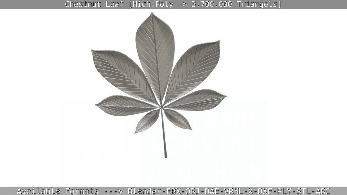 Chestnut Leaf High-Poly 3D model_11