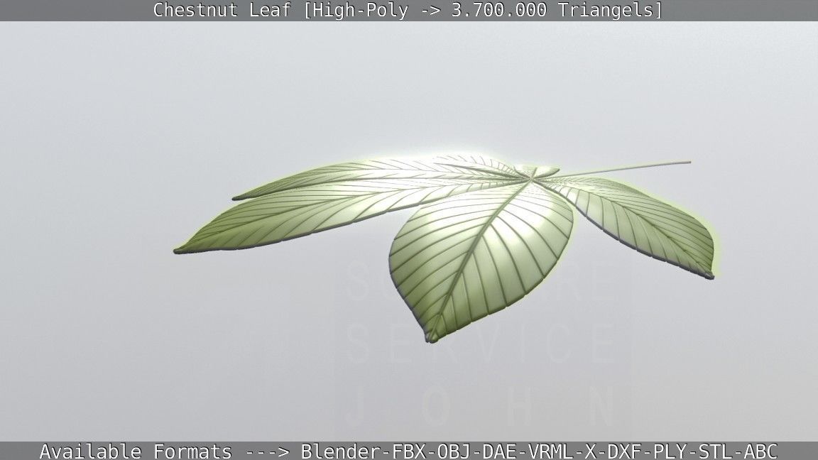 Chestnut Leaf High-Poly 3D model_55