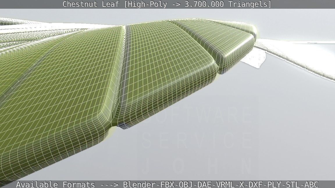 Chestnut Leaf High-Poly 3D model_8