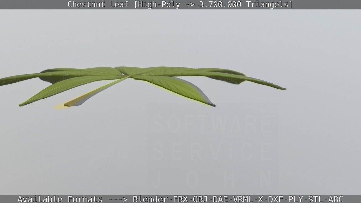 Chestnut Leaf High-Poly 3D model_61