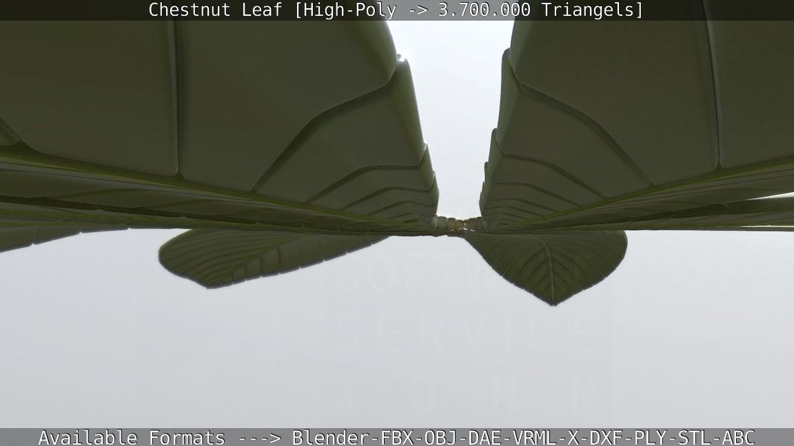 Chestnut Leaf High-Poly 3D model_96