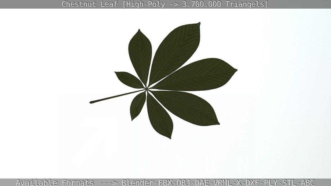Chestnut Leaf High-Poly 3D model_43