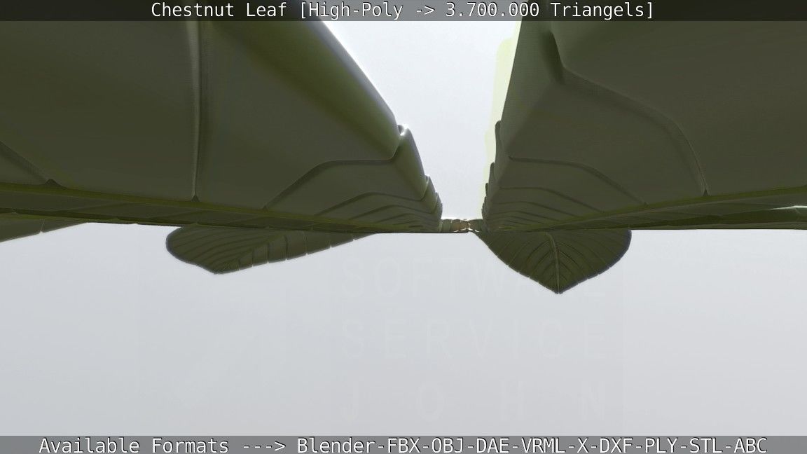 Chestnut Leaf High-Poly 3D model_93