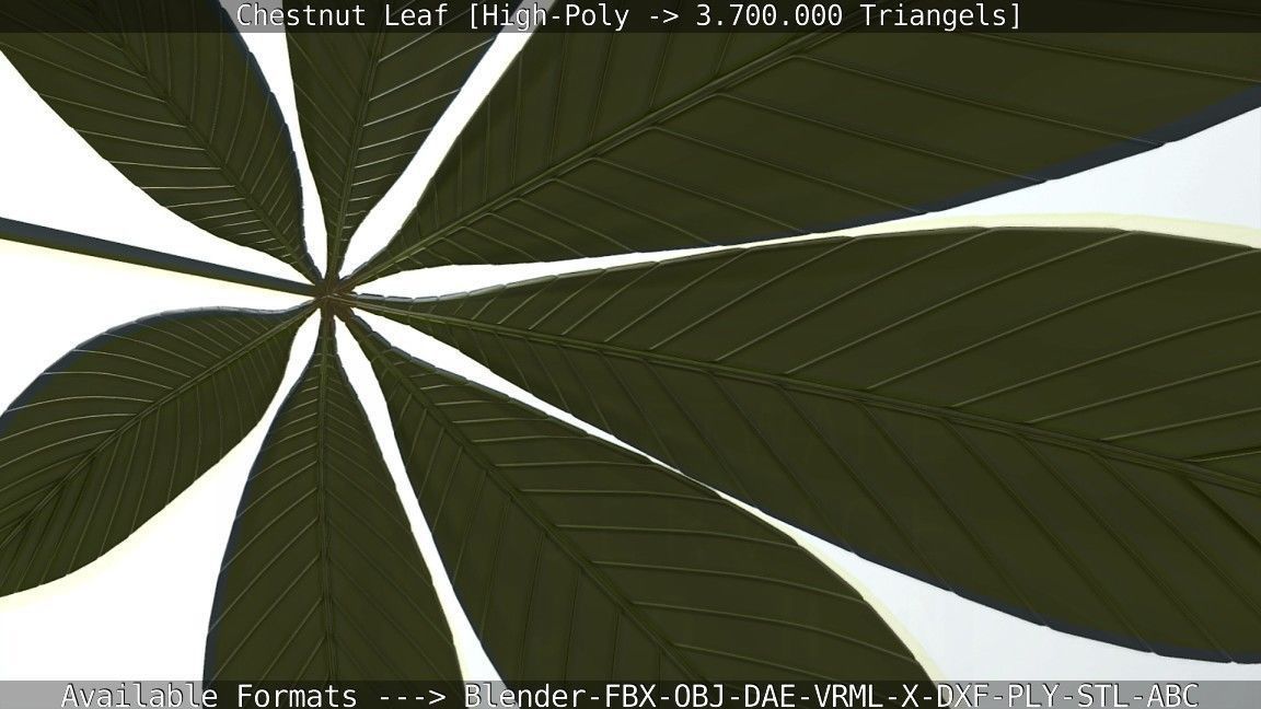 Chestnut Leaf High-Poly 3D model_112