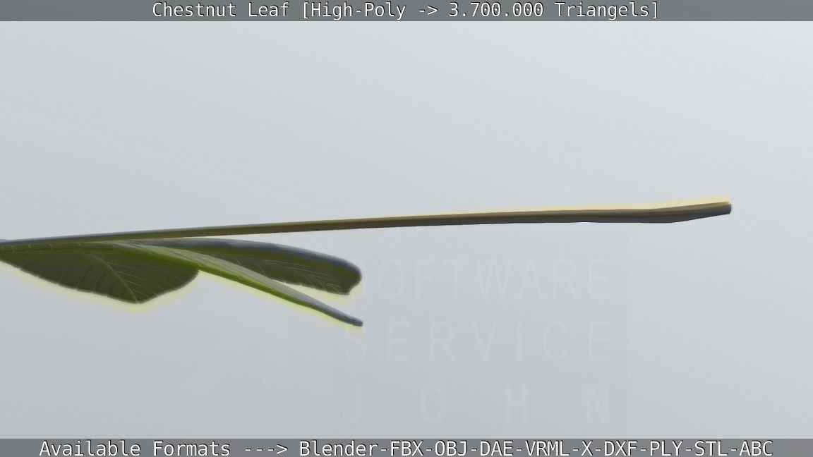 Chestnut Leaf High-Poly 3D model_74