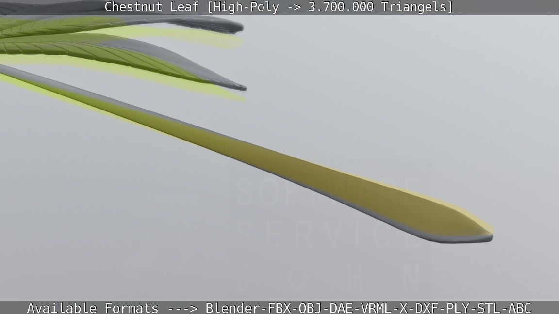 Chestnut Leaf High-Poly 3D model_71