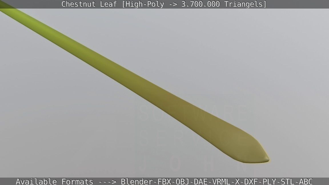 Chestnut Leaf High-Poly 3D model_72