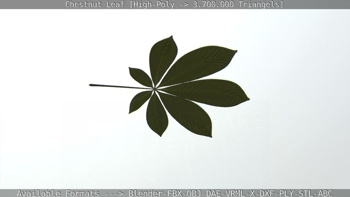 Chestnut Leaf High-Poly 3D model_45