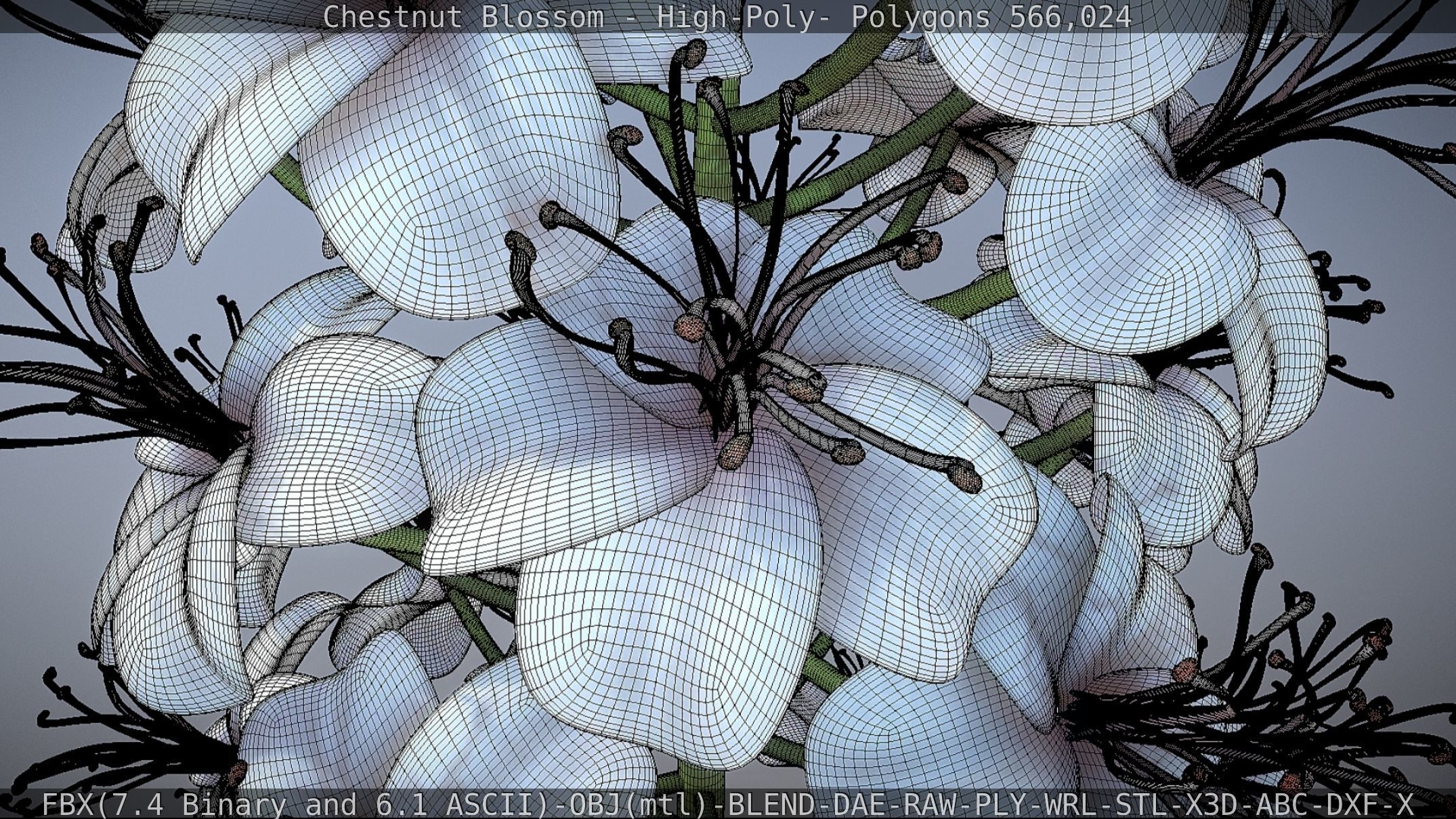 Chestnut Blossom High-Poly 3D model_66