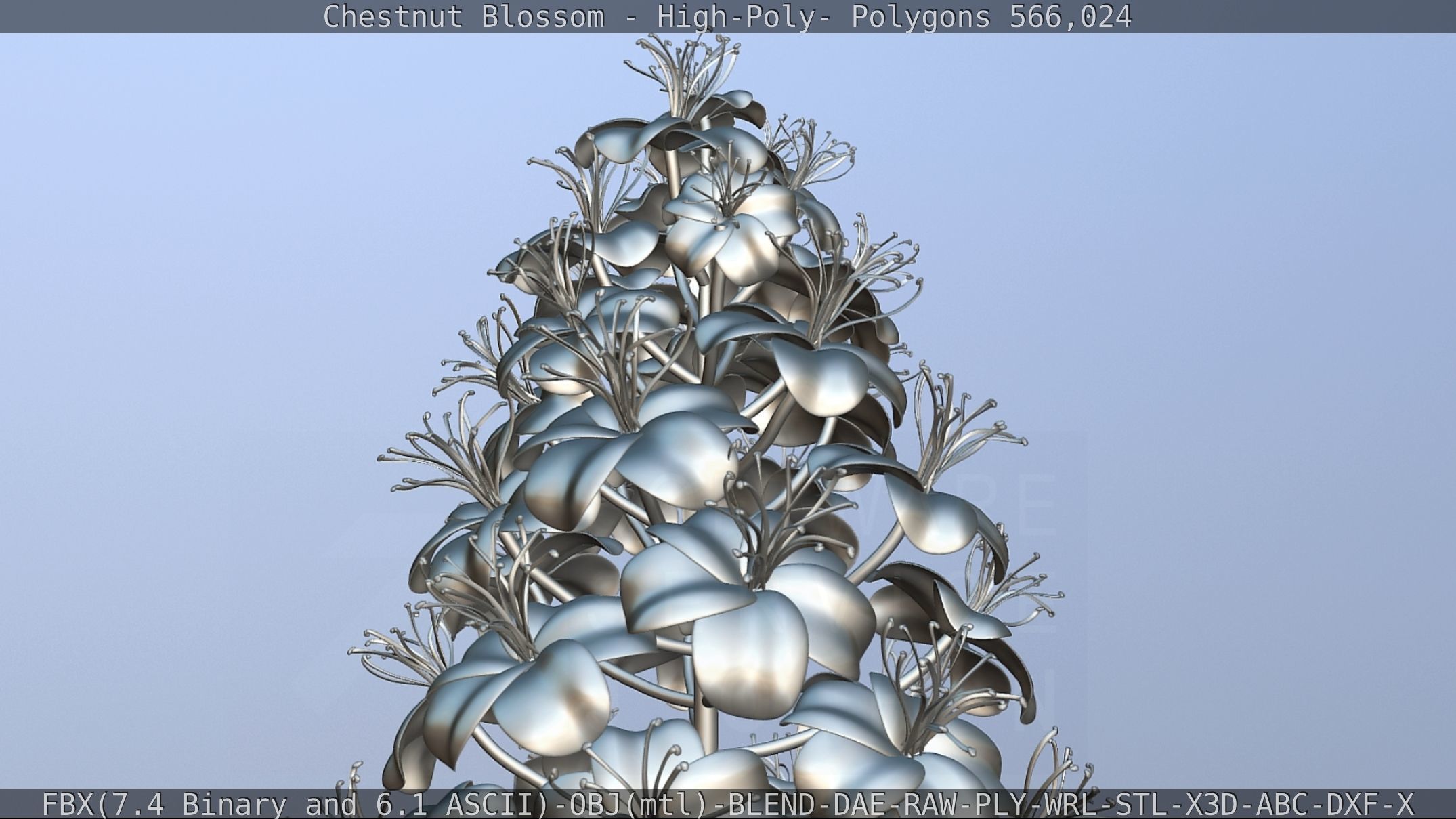Chestnut Blossom High-Poly 3D model_88
