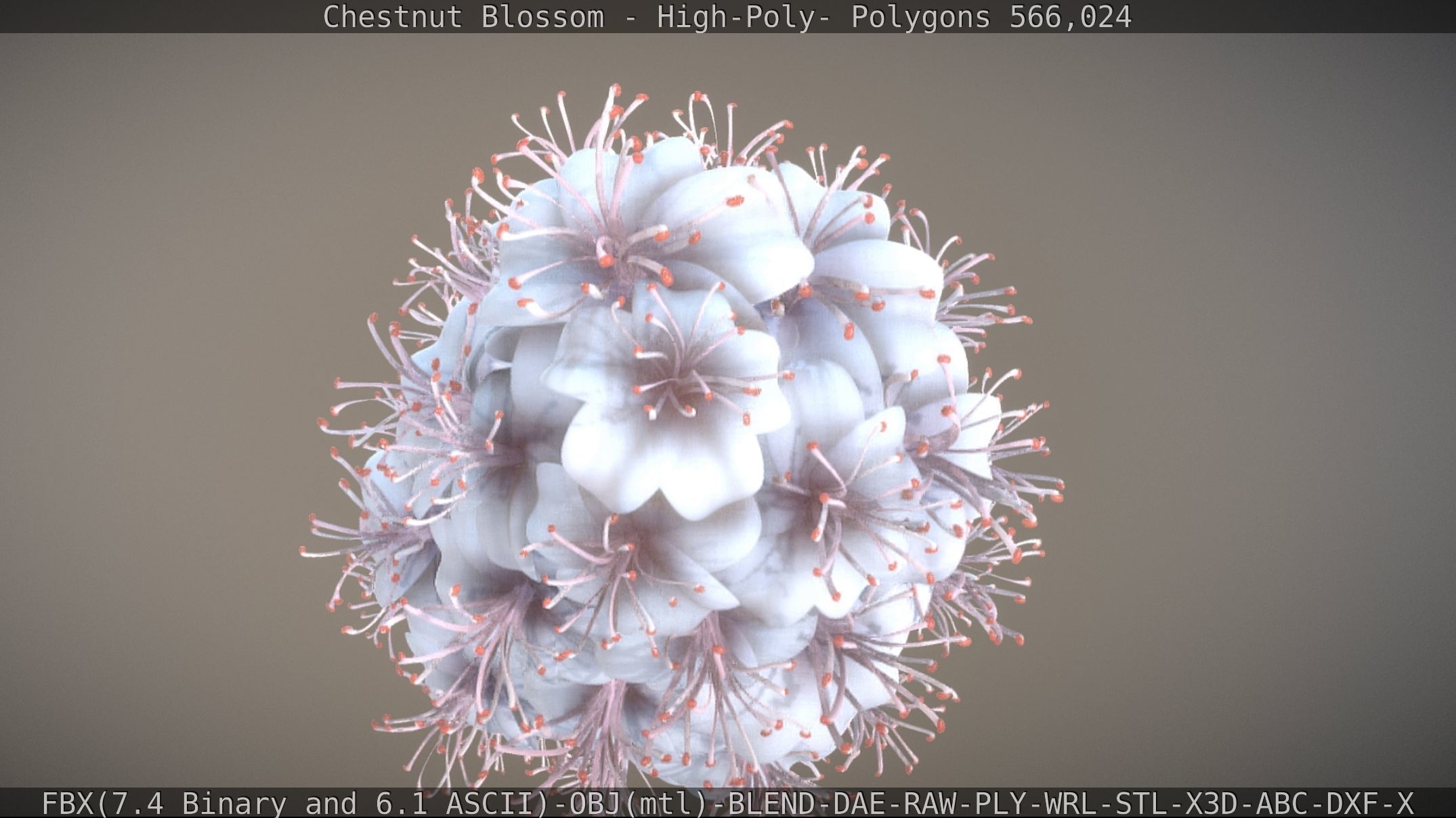 Chestnut Blossom High-Poly 3D model_13