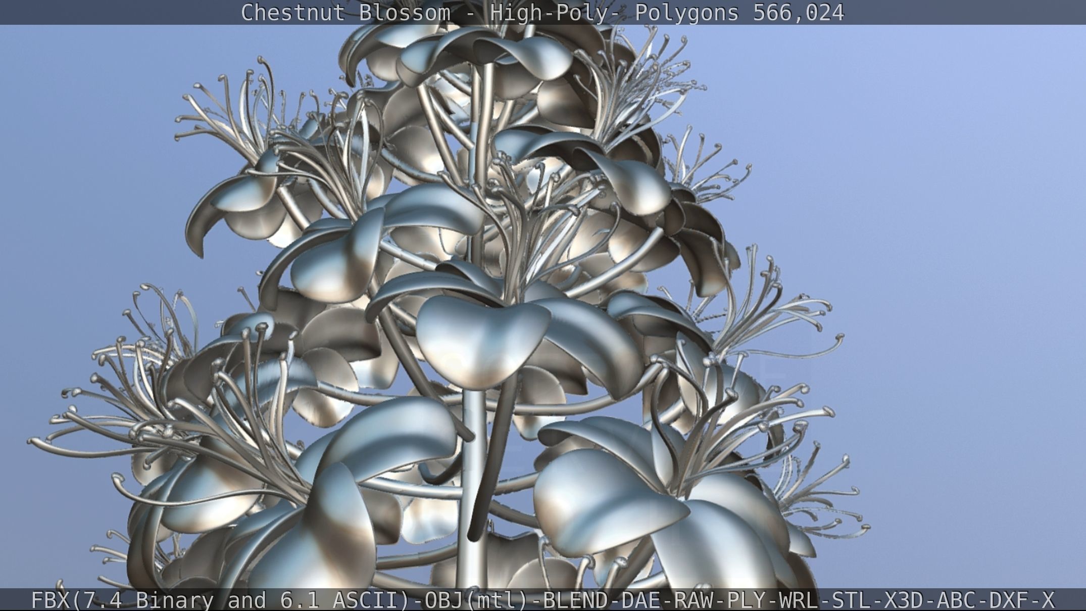 Chestnut Blossom High-Poly 3D model_113