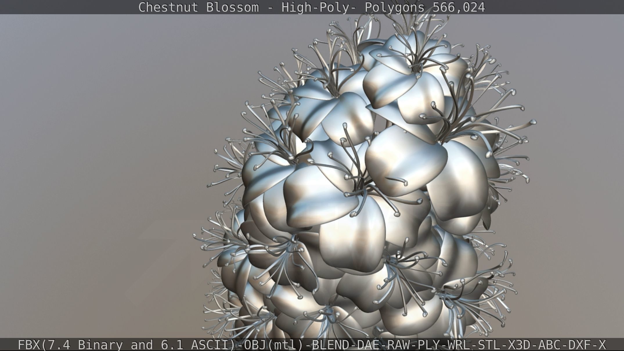 Chestnut Blossom High-Poly 3D model_110