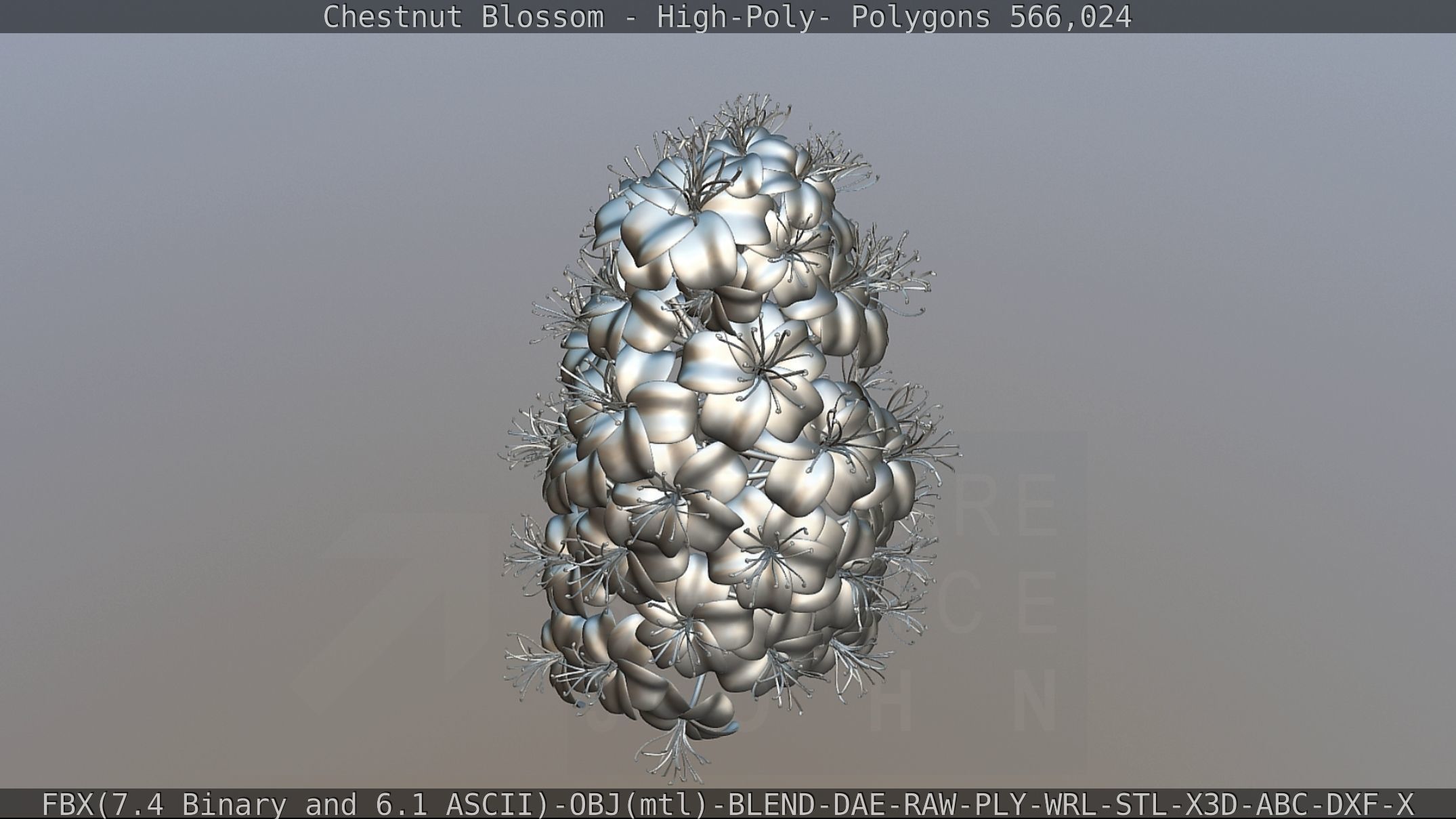 Chestnut Blossom High-Poly 3D model_92