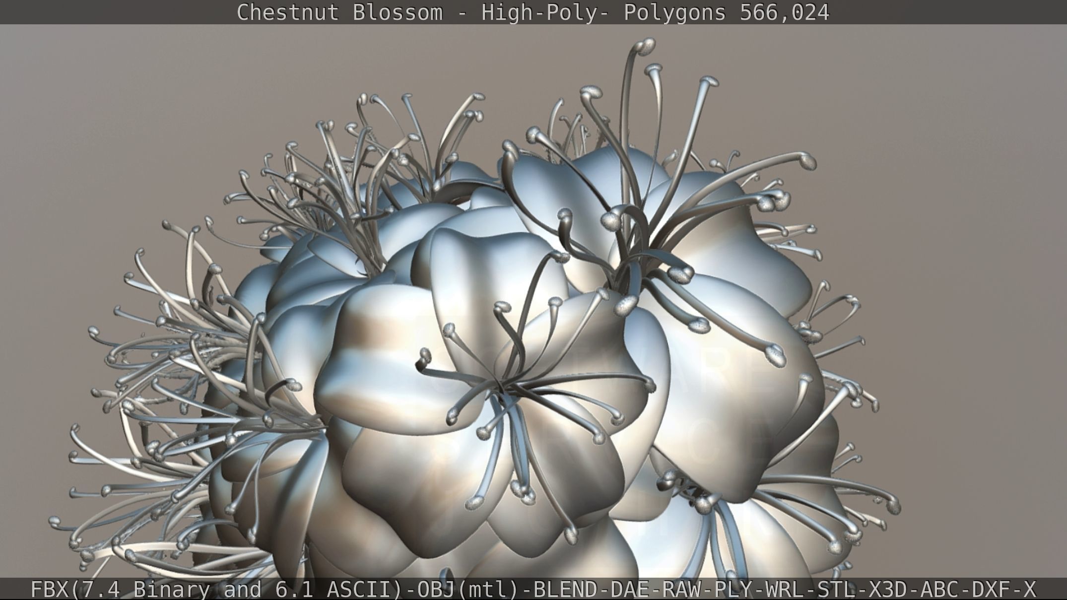 Chestnut Blossom High-Poly 3D model_118