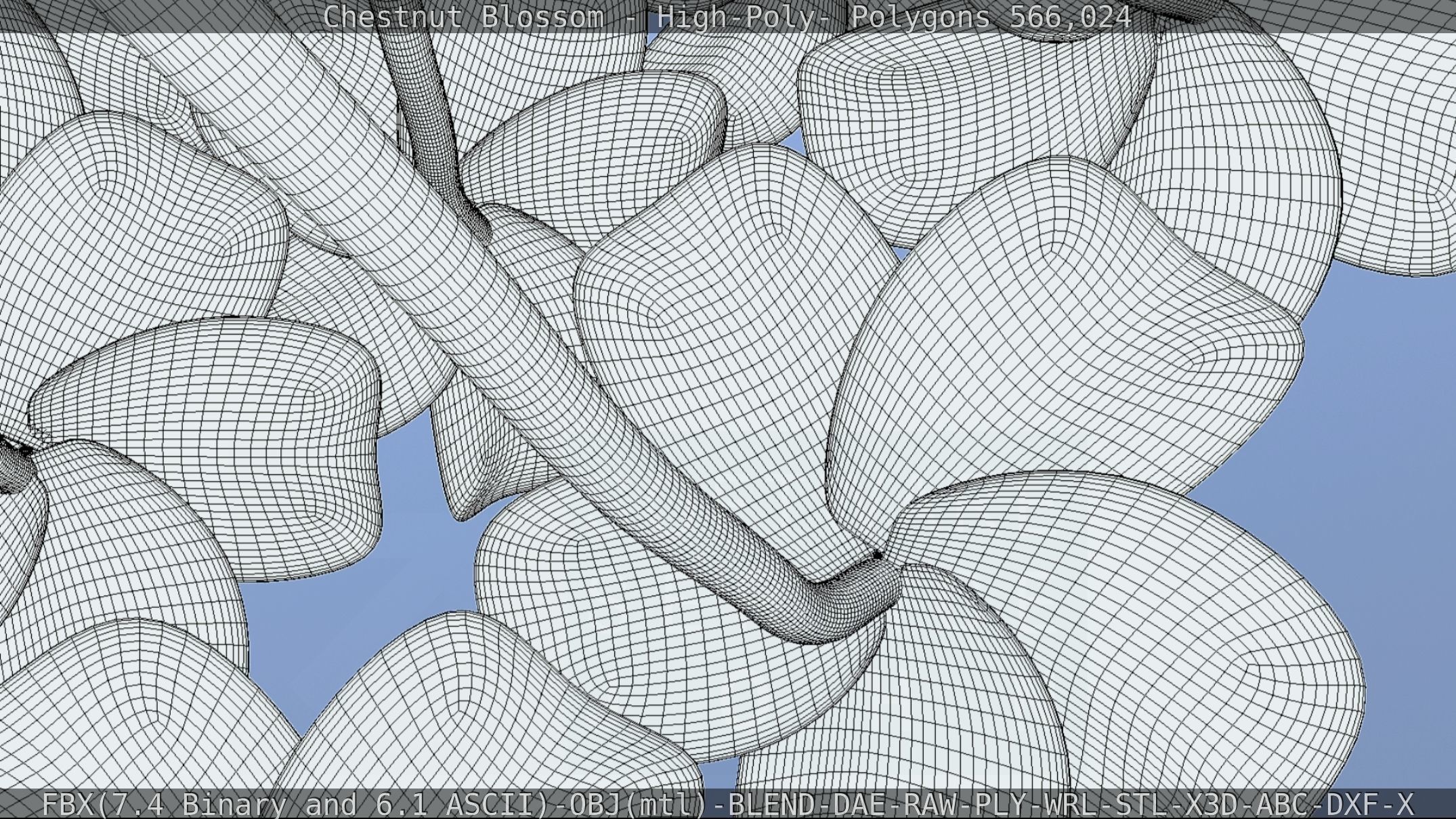 Chestnut Blossom High-Poly 3D model_127