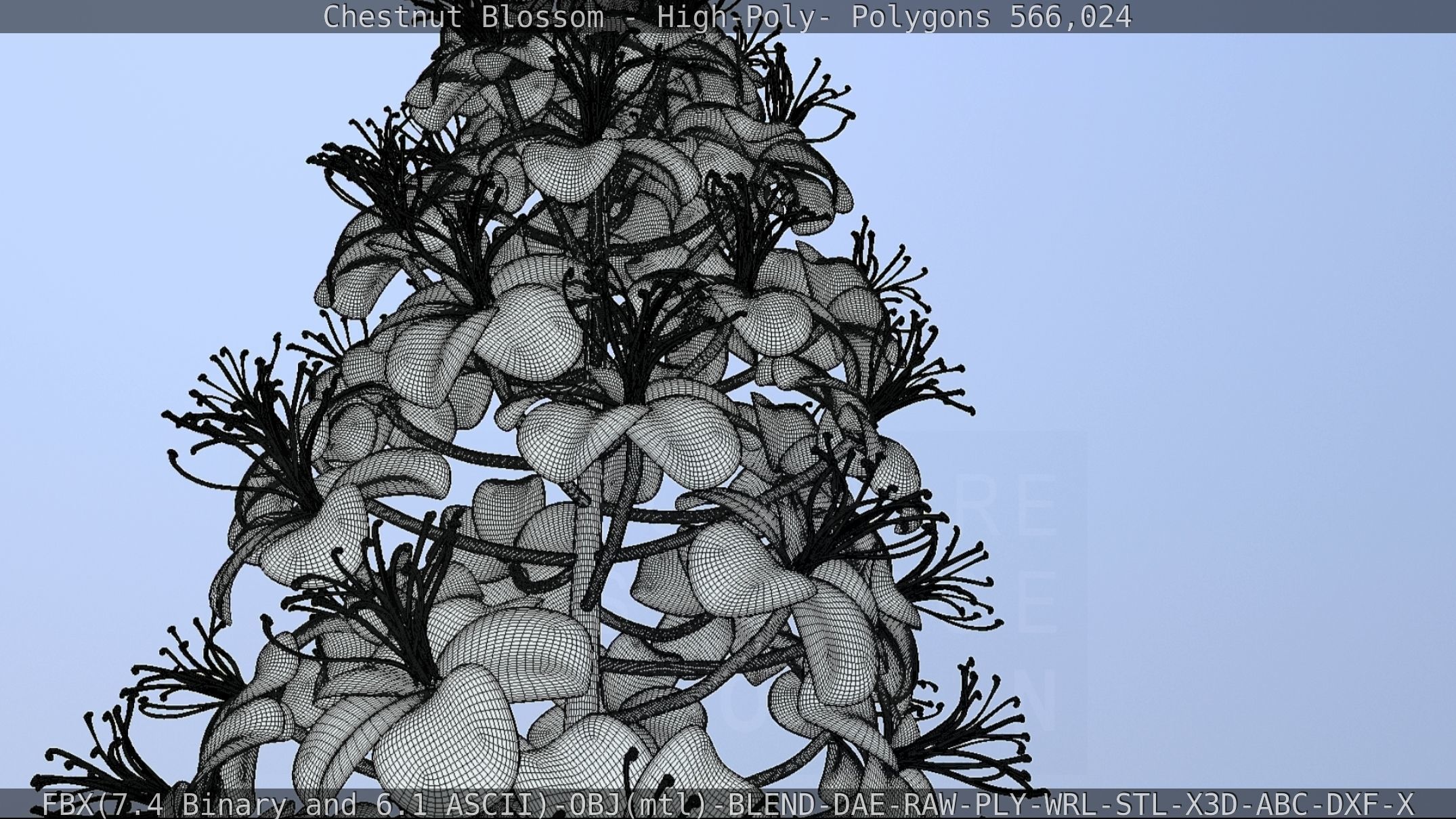 Chestnut Blossom High-Poly 3D model_124
