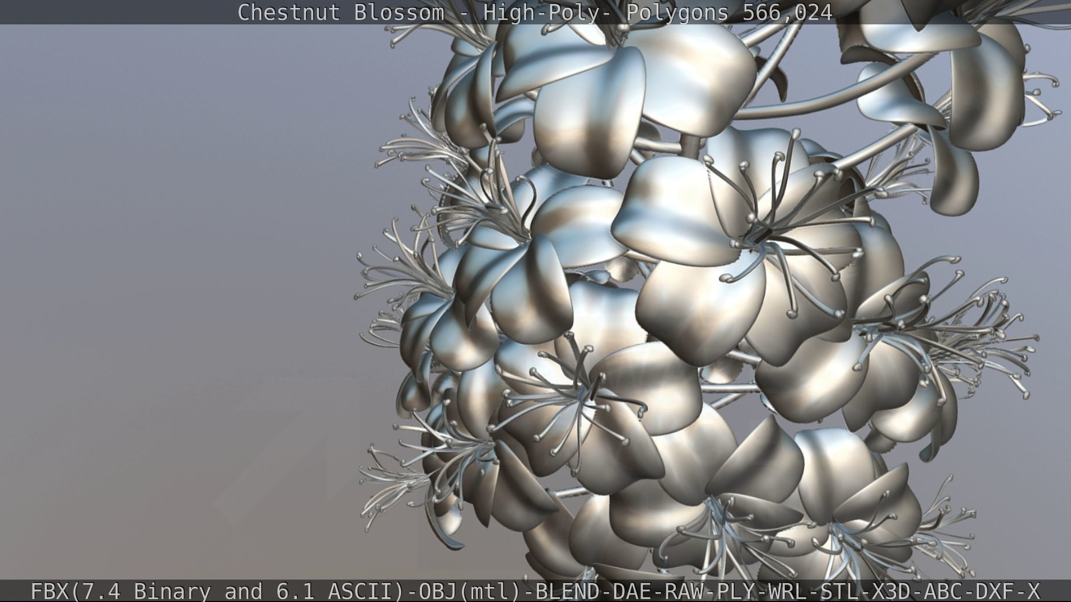 Chestnut Blossom High-Poly 3D model_120