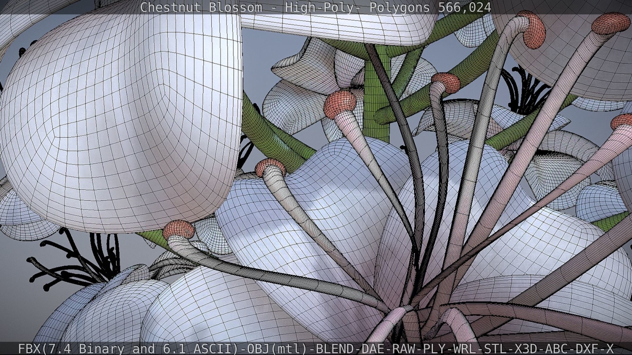 Chestnut Blossom High-Poly 3D model_82