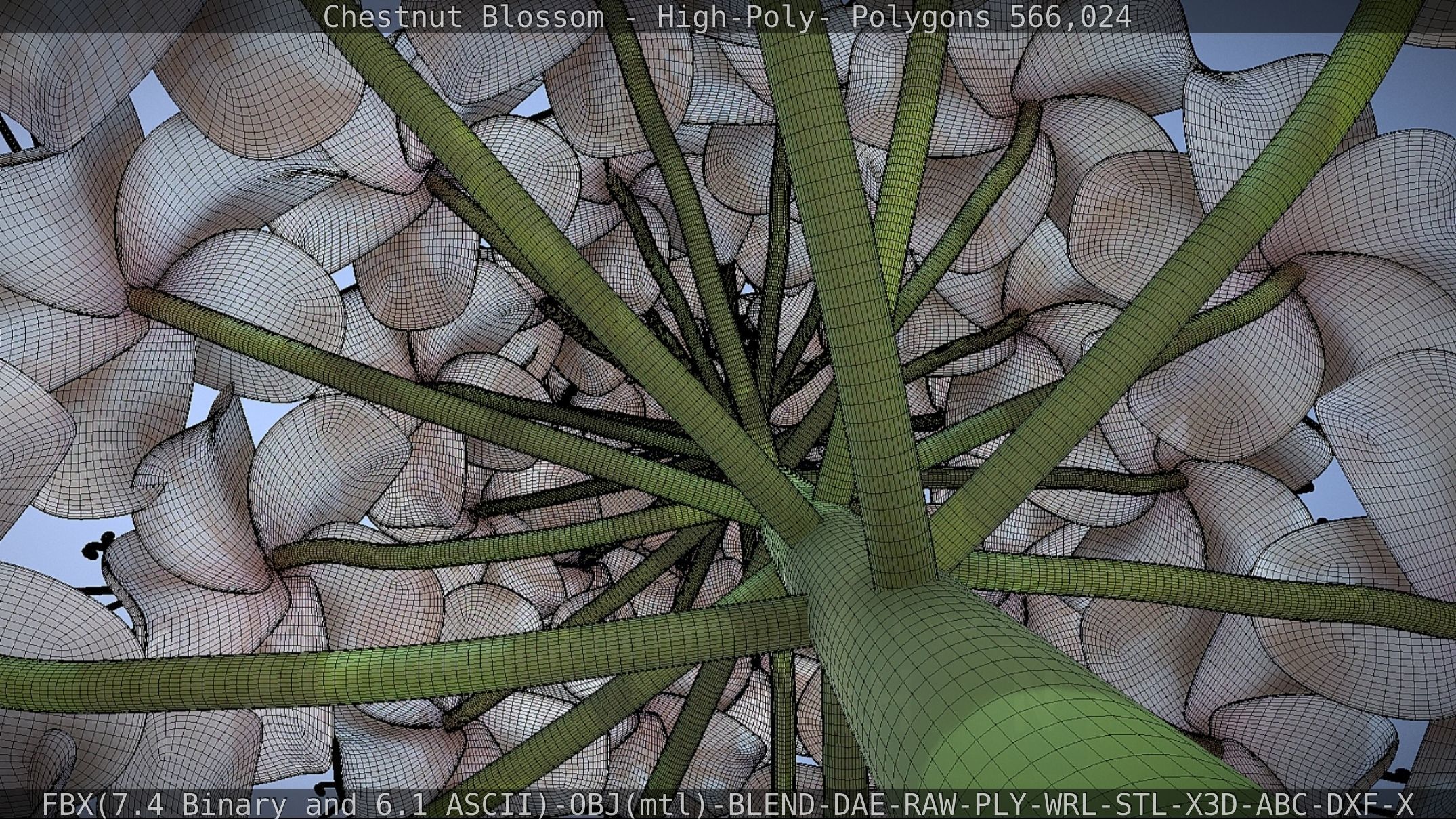 Chestnut Blossom High-Poly 3D model_74