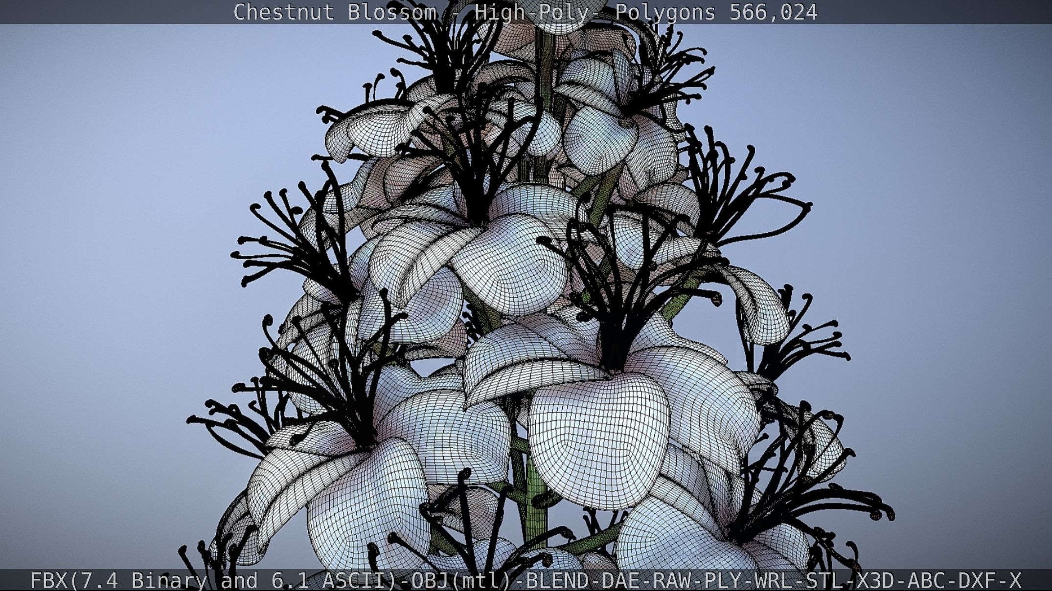 Chestnut Blossom High-Poly 3D model_85