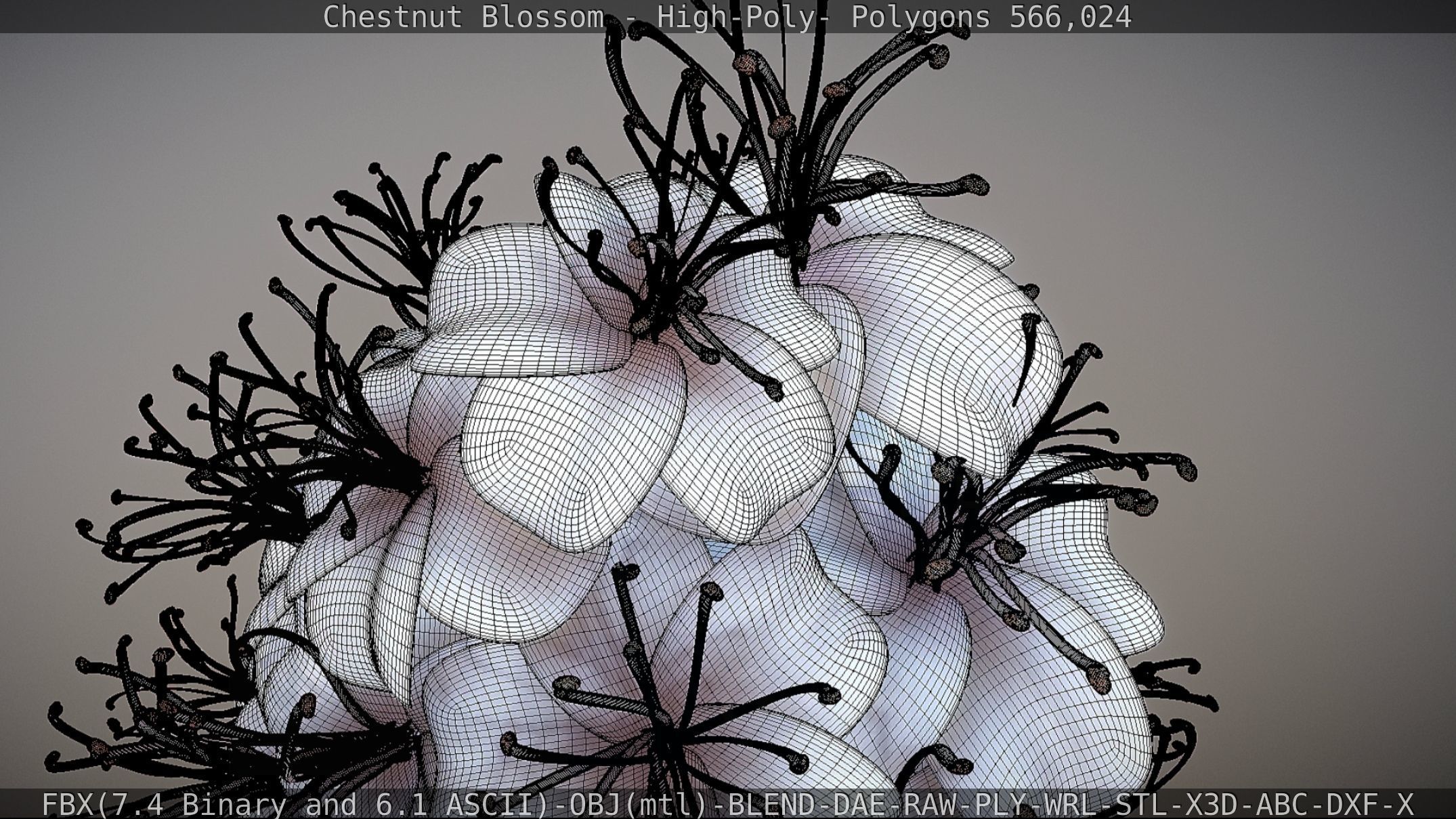 Chestnut Blossom High-Poly 3D model_79