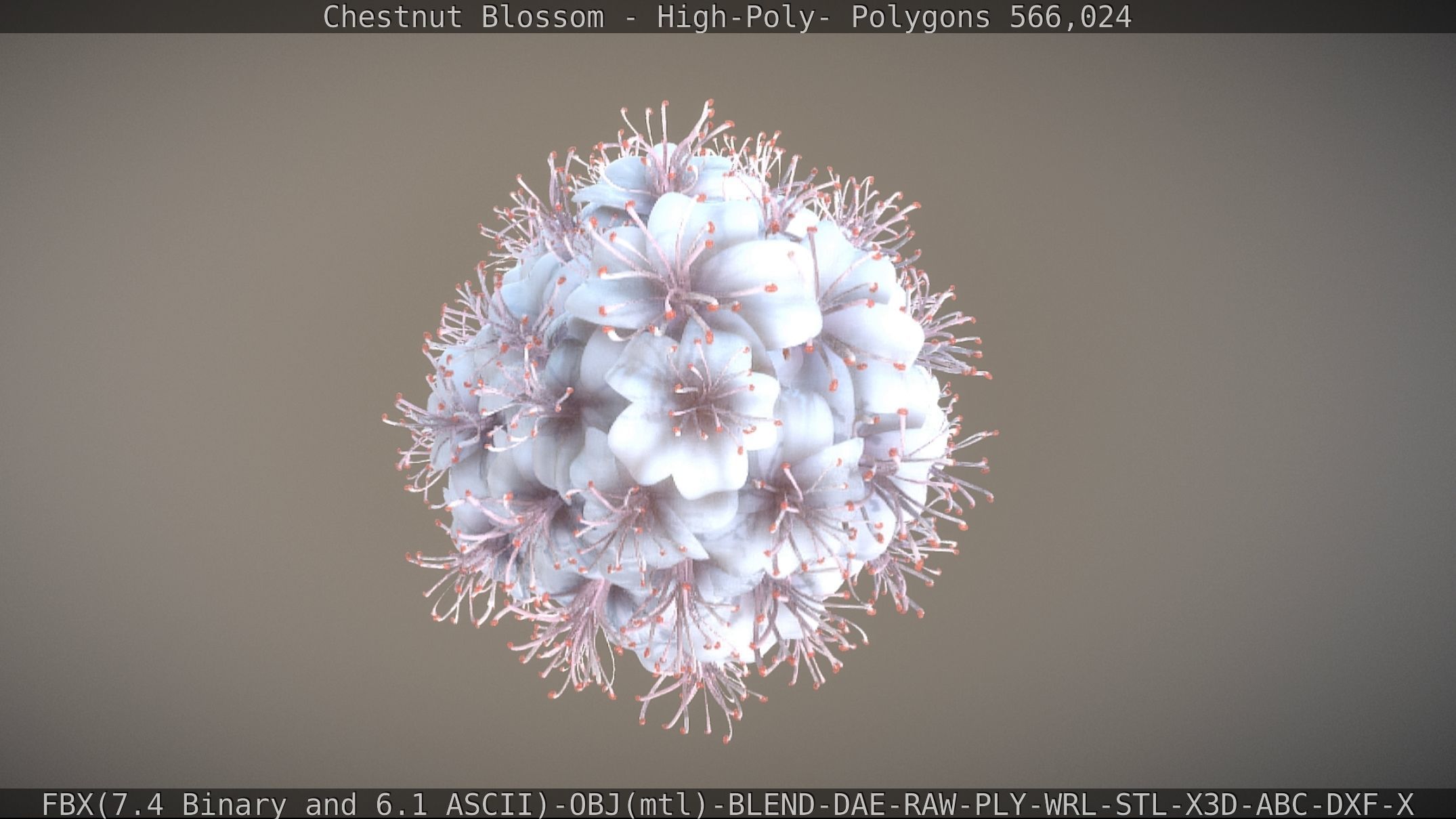 Chestnut Blossom High-Poly 3D model_28