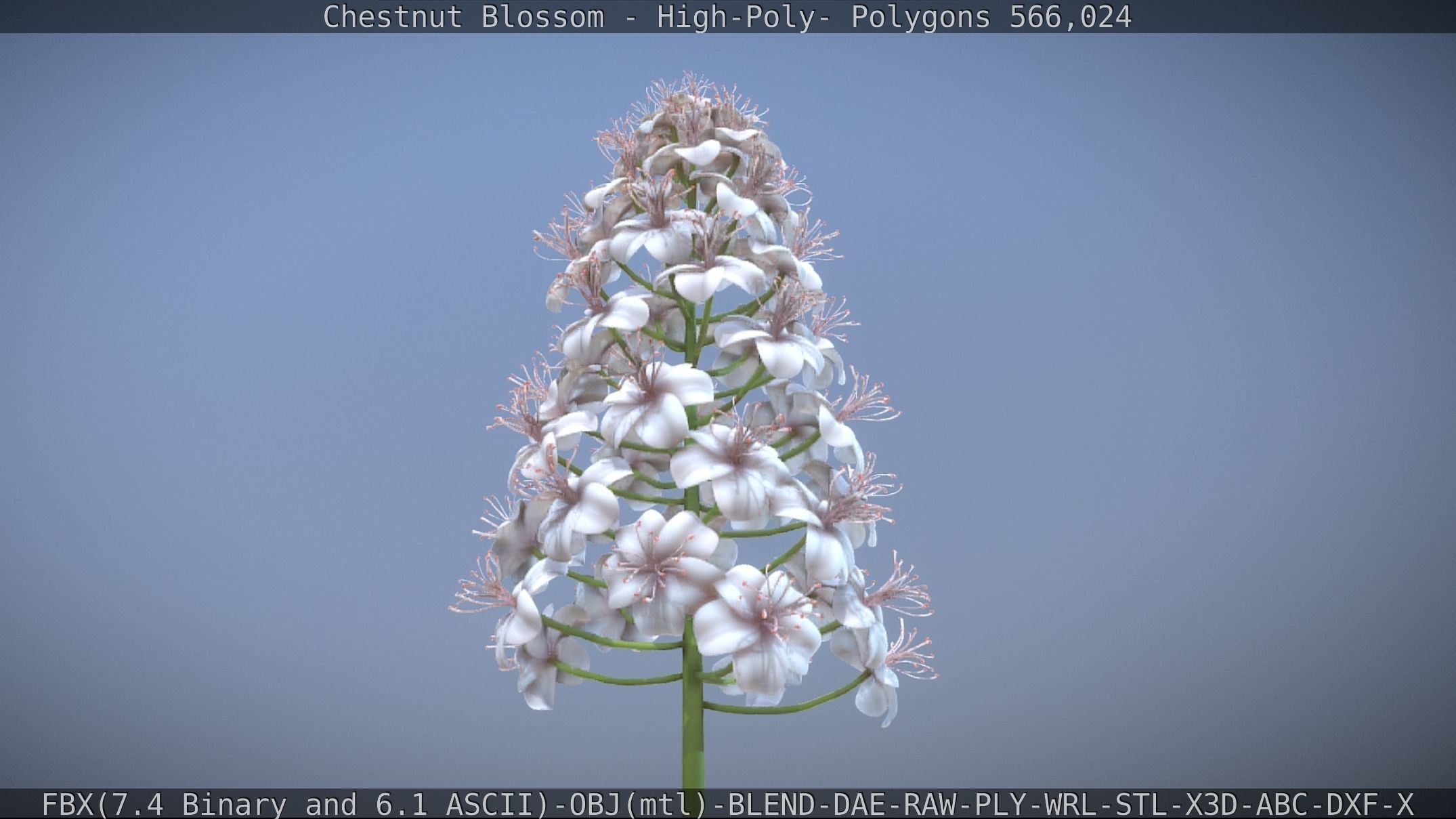 Chestnut Blossom High-Poly 3D model_26