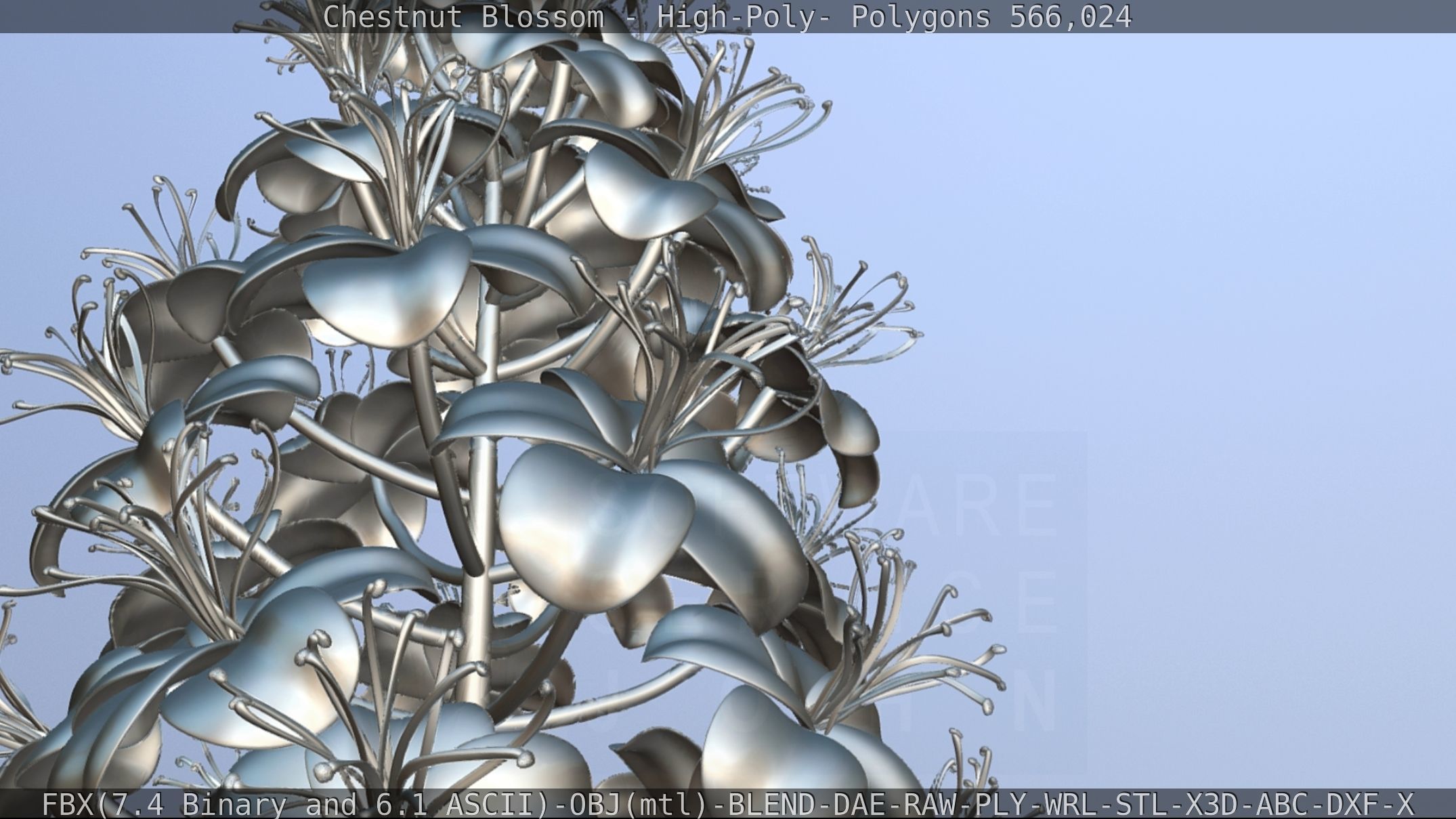 Chestnut Blossom High-Poly 3D model_111