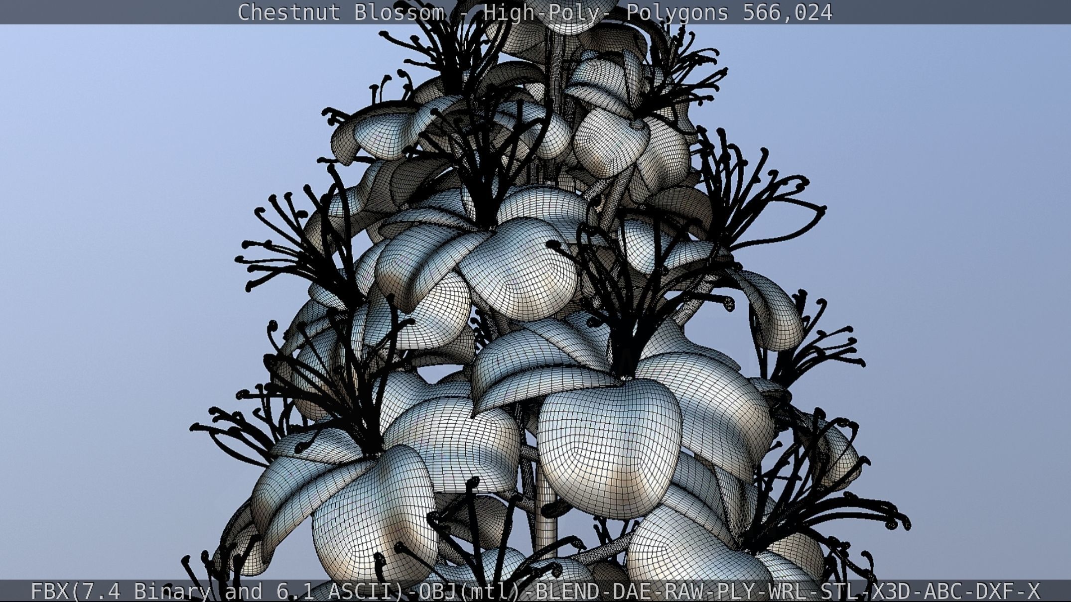 Chestnut Blossom High-Poly 3D model_86
