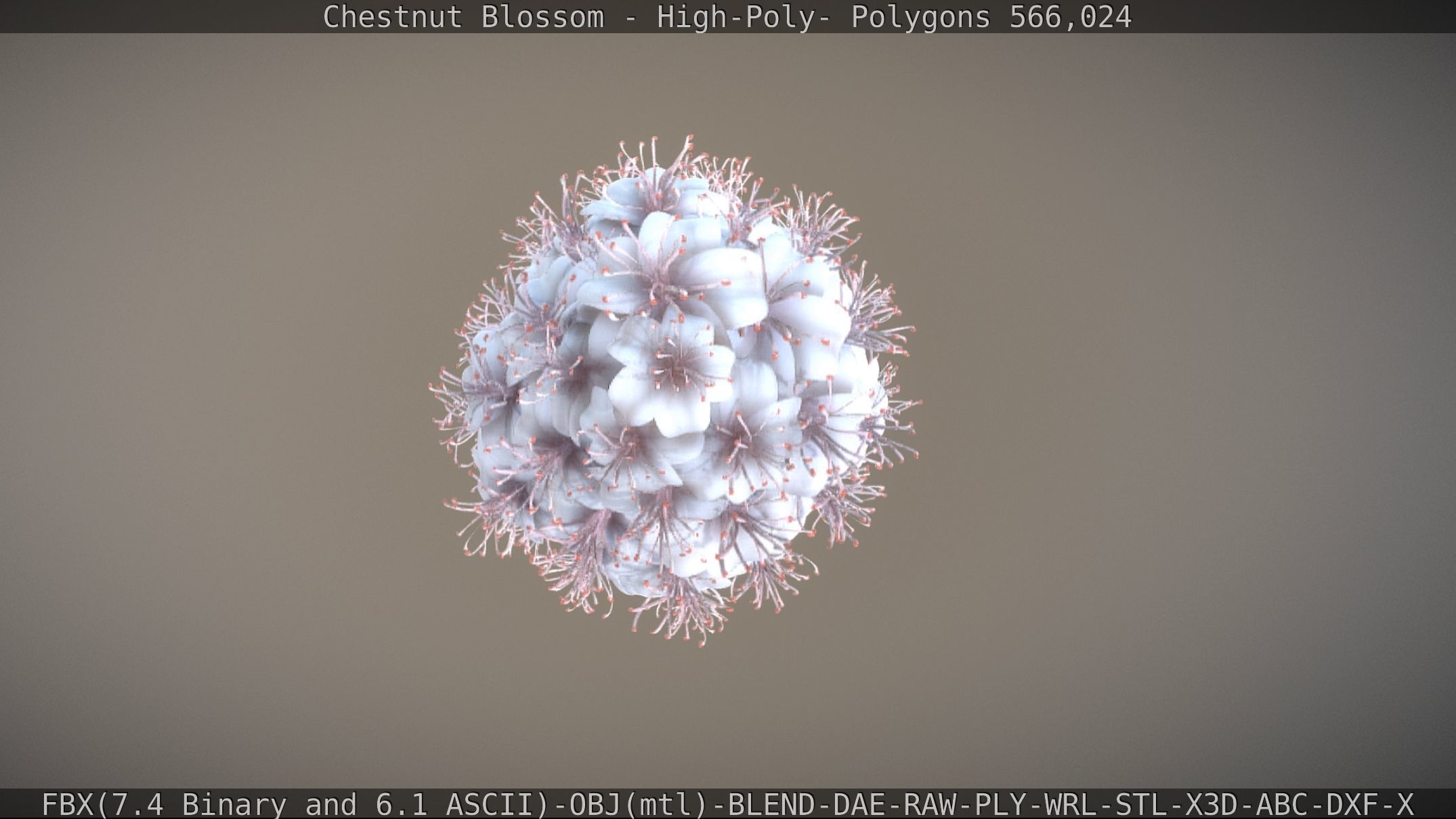 Chestnut Blossom High-Poly 3D model_25