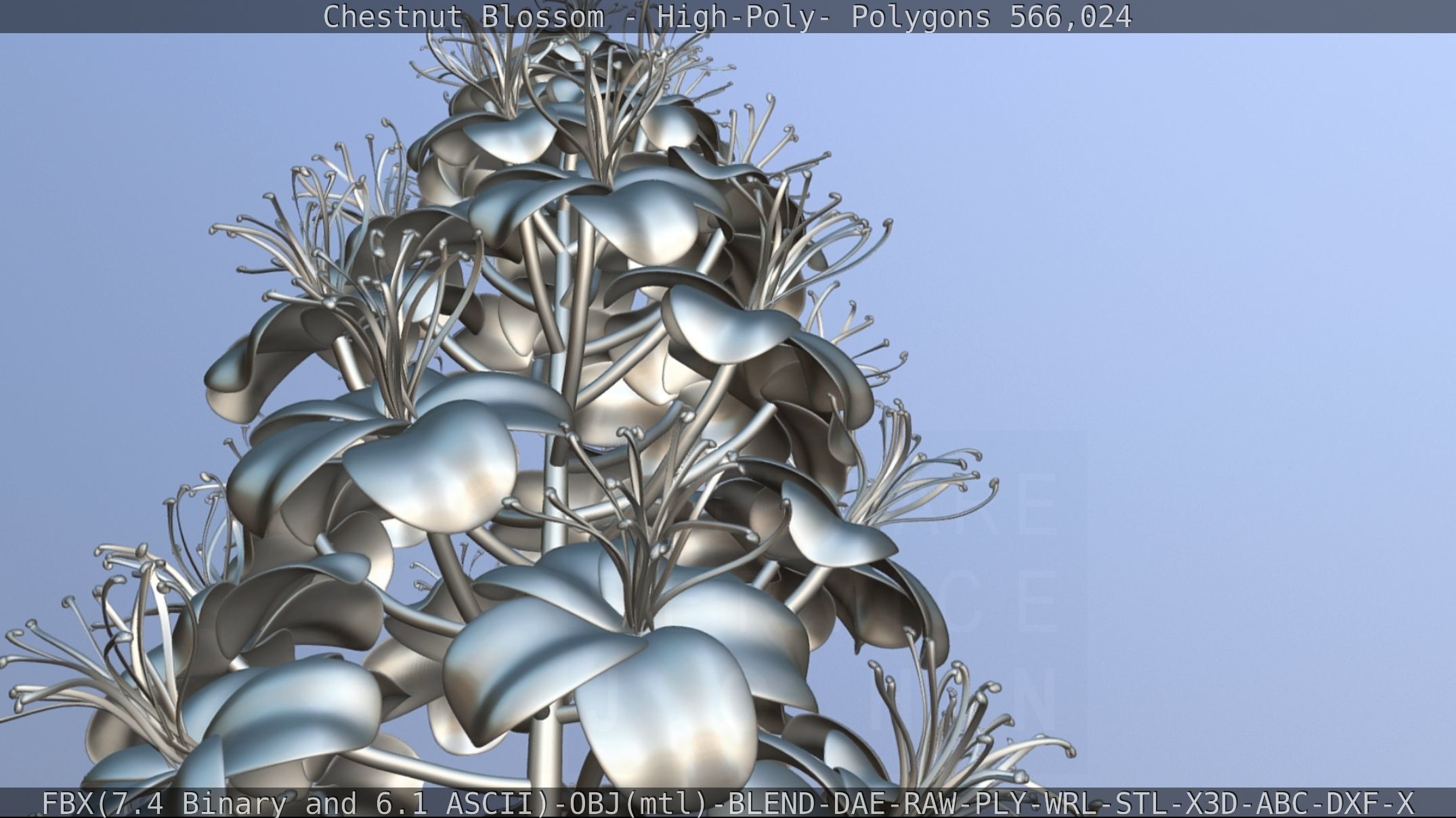 Chestnut Blossom High-Poly 3D model_114