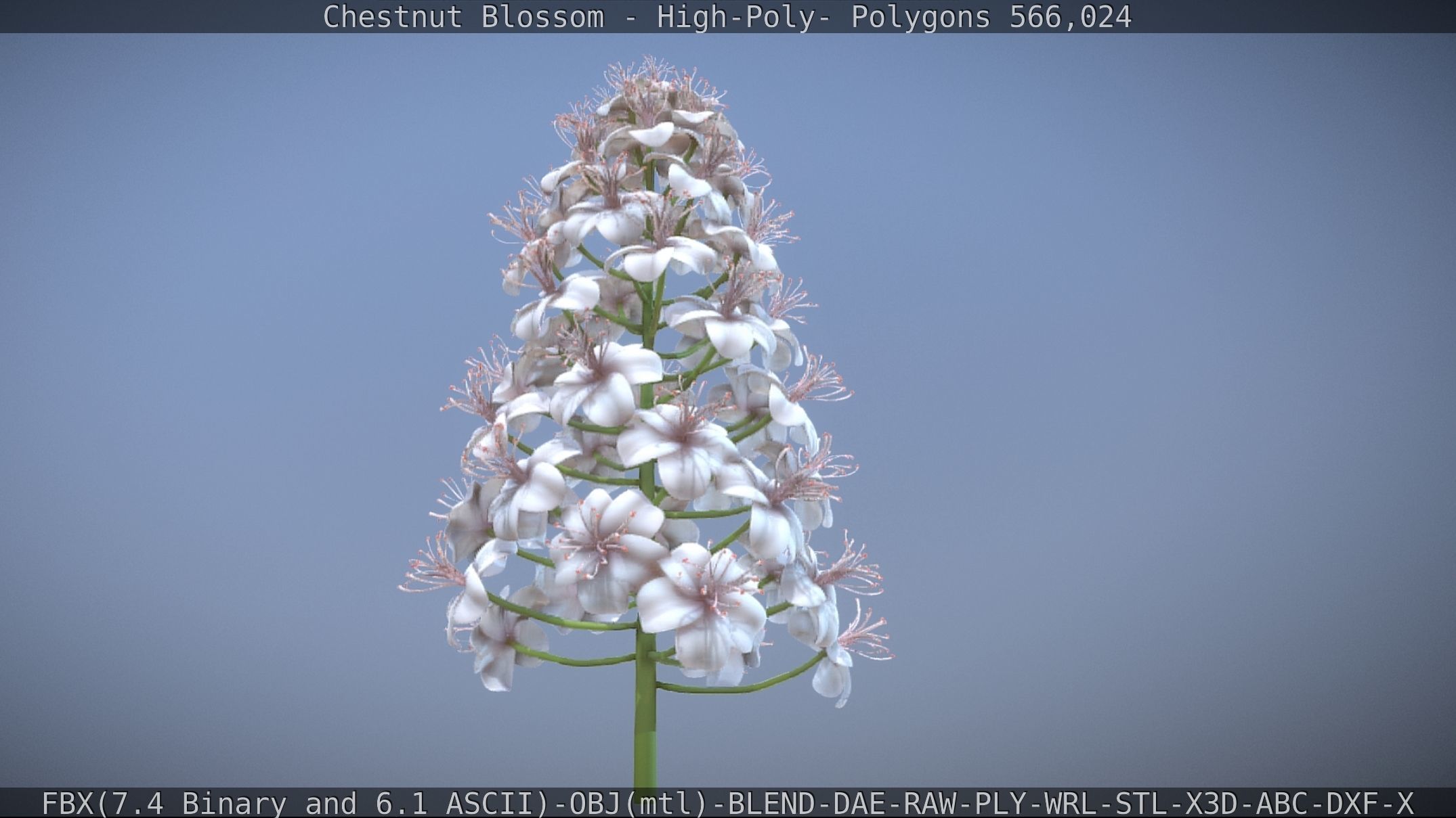 Chestnut Blossom High-Poly 3D model_24