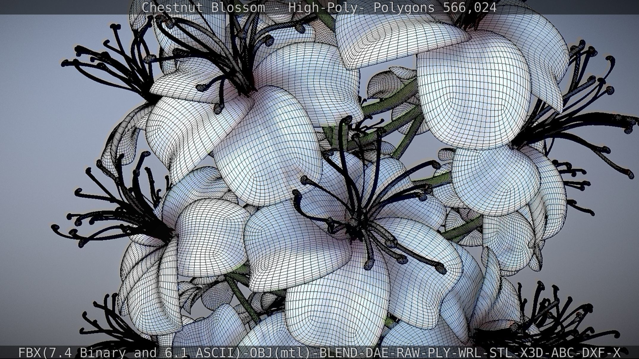 Chestnut Blossom High-Poly 3D model_20