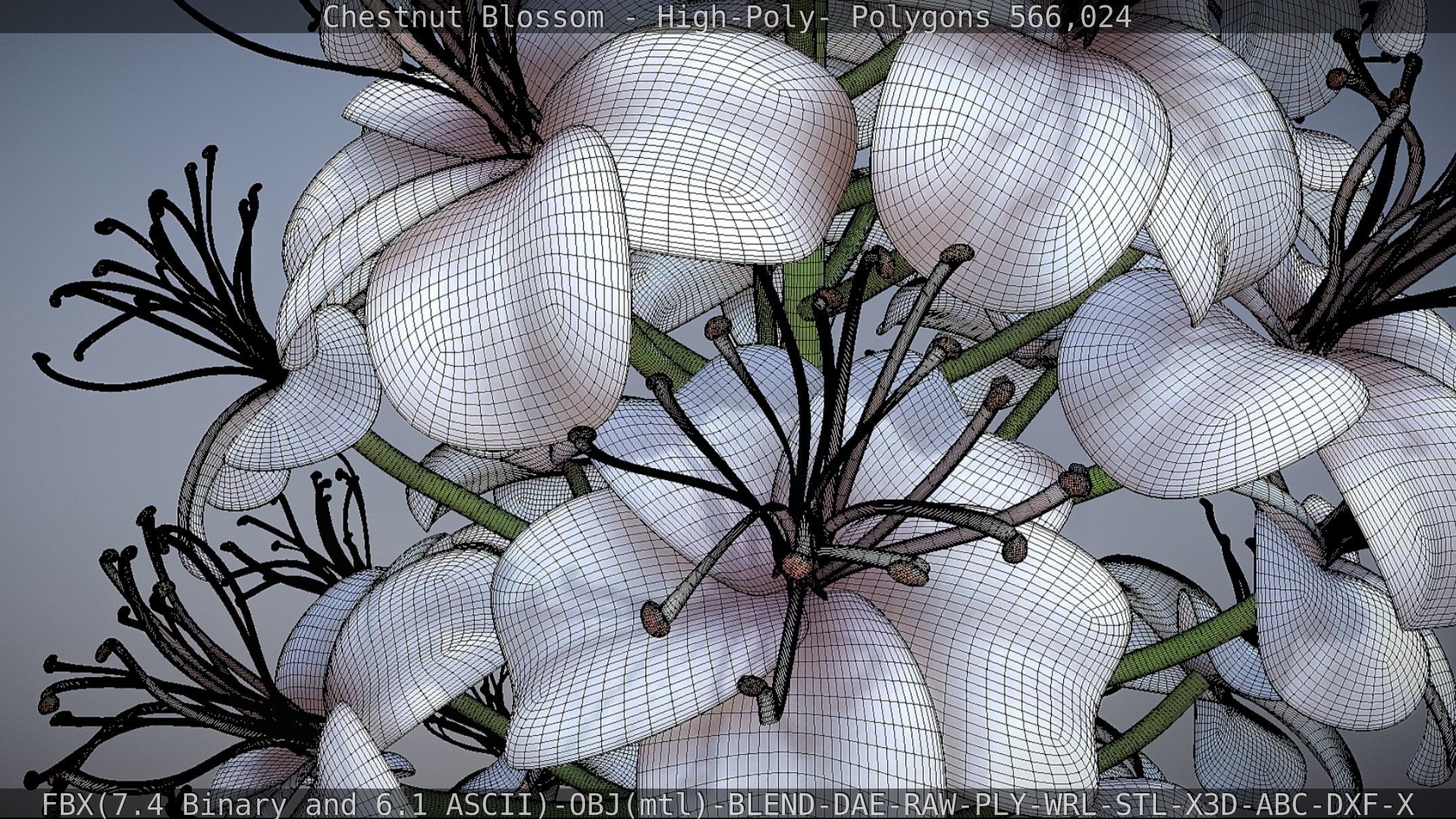 Chestnut Blossom High-Poly 3D model_78