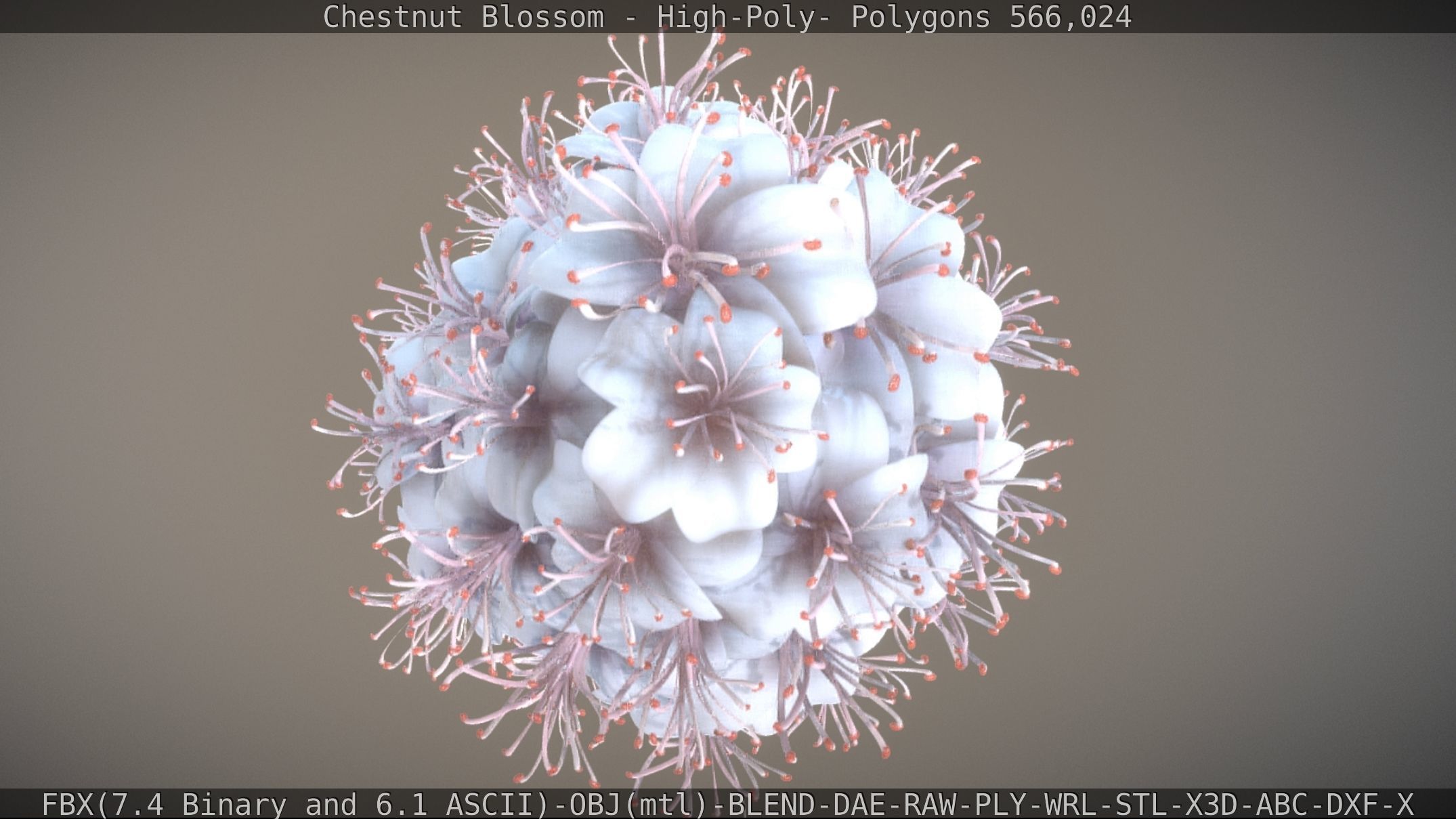 Chestnut Blossom High-Poly 3D model_7
