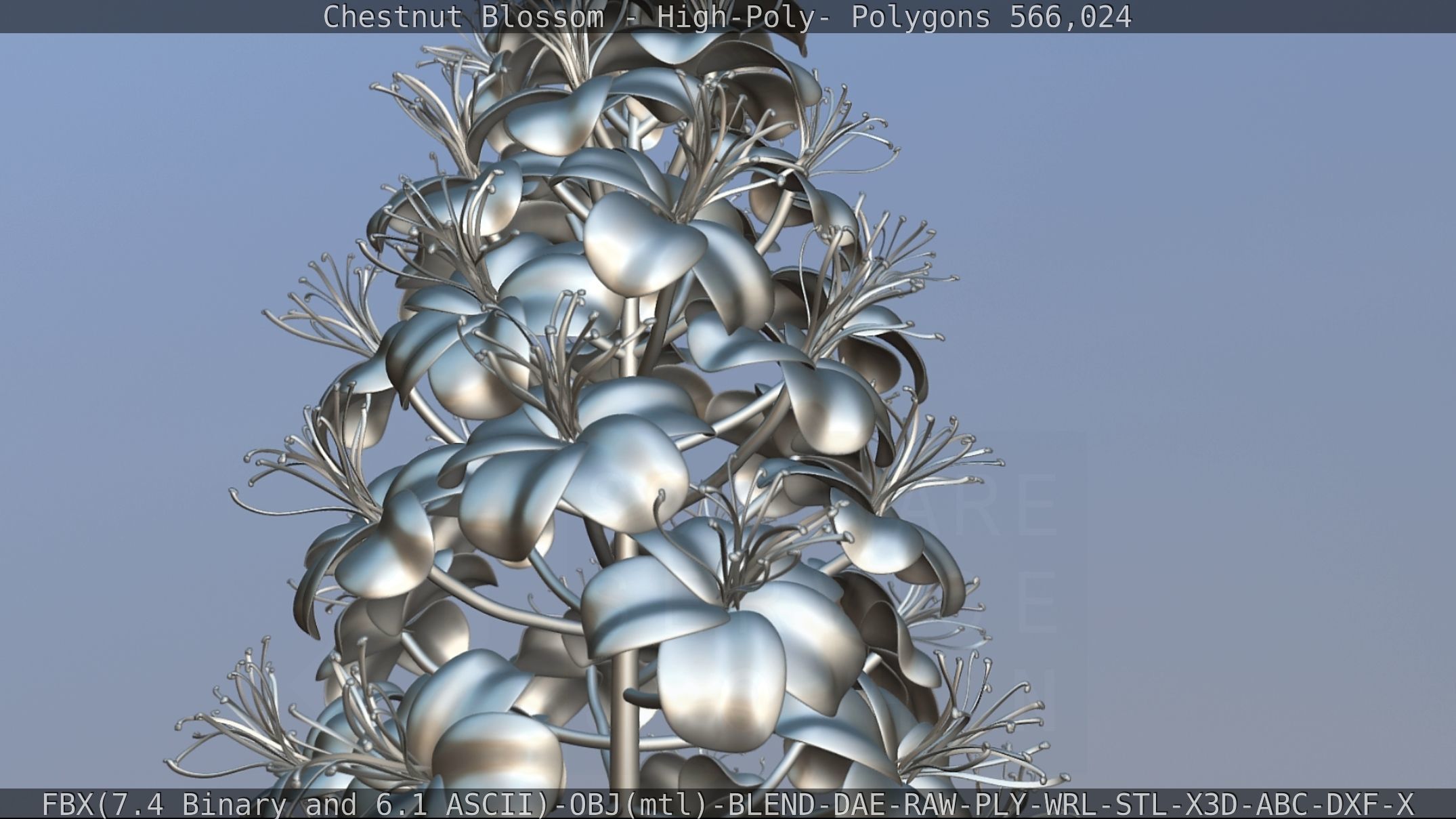 Chestnut Blossom High-Poly 3D model_107