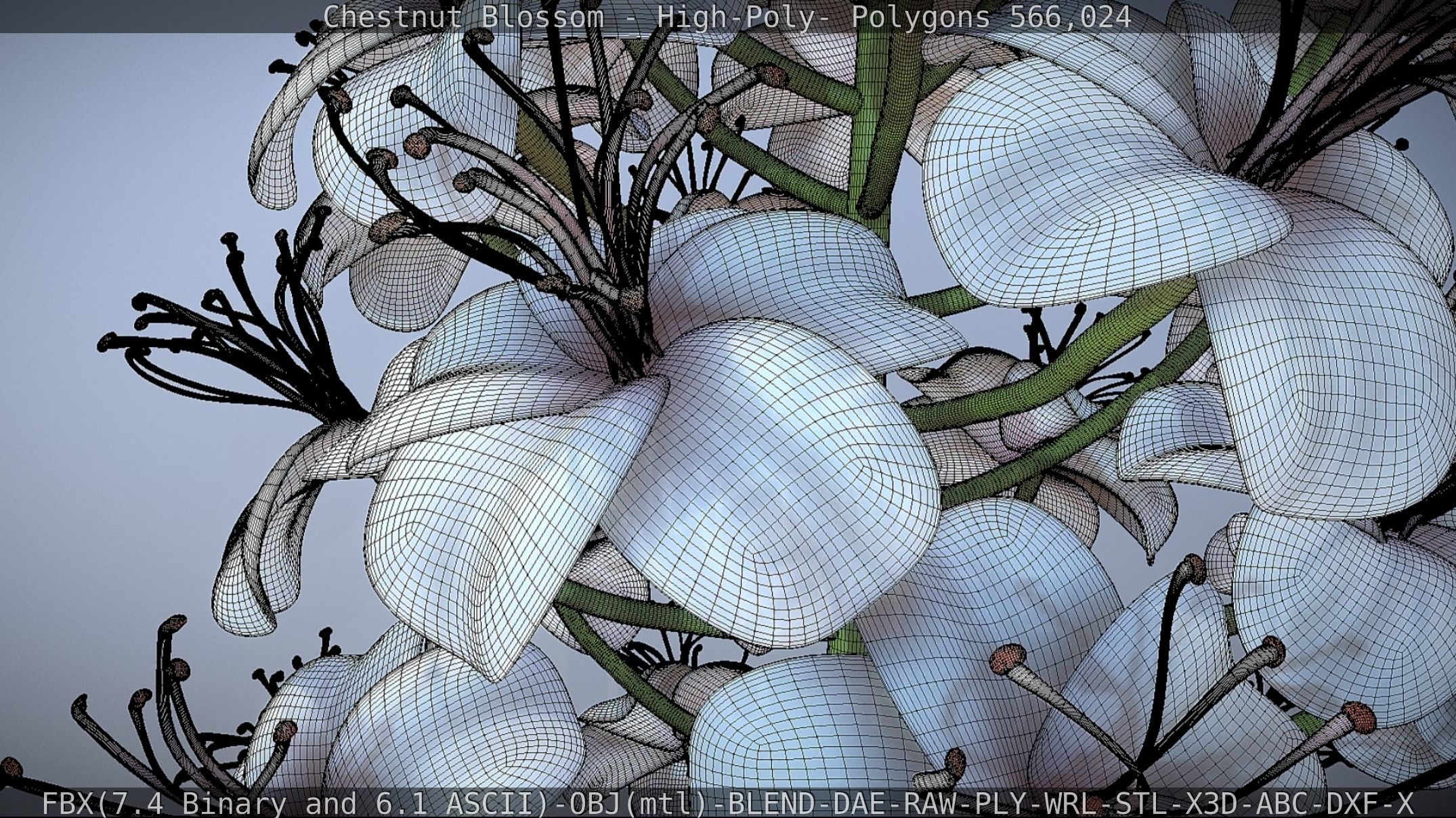 Chestnut Blossom High-Poly 3D model_69