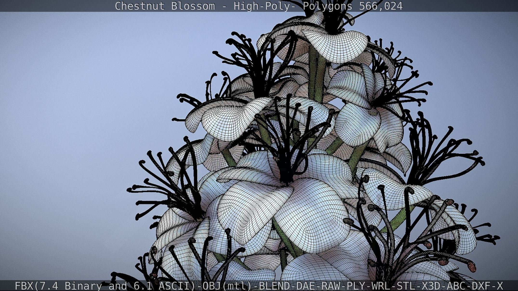 Chestnut Blossom High-Poly 3D model_84