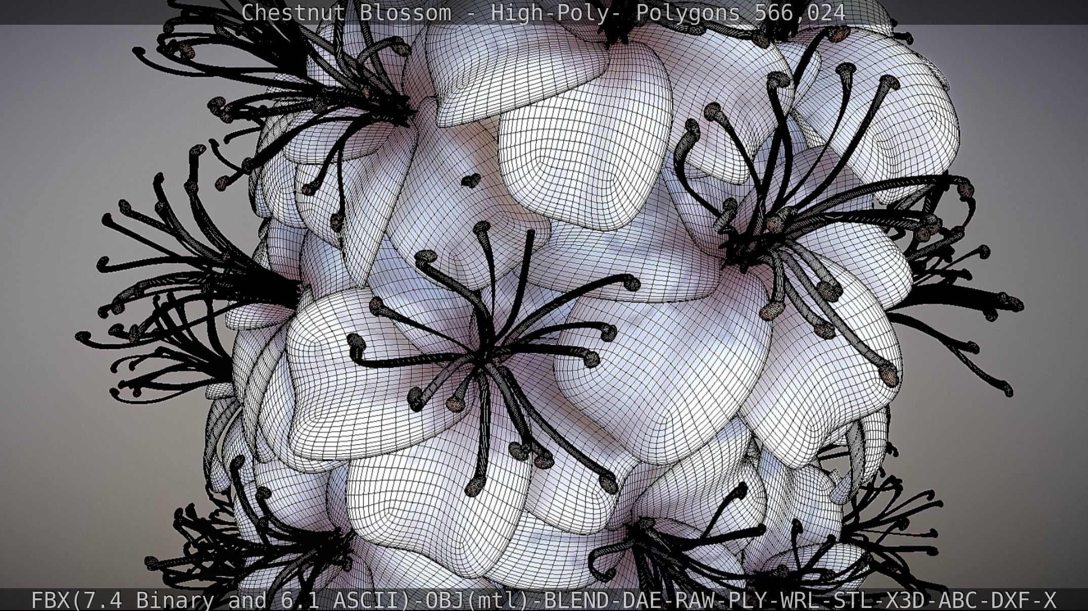 Chestnut Blossom High-Poly 3D model_81