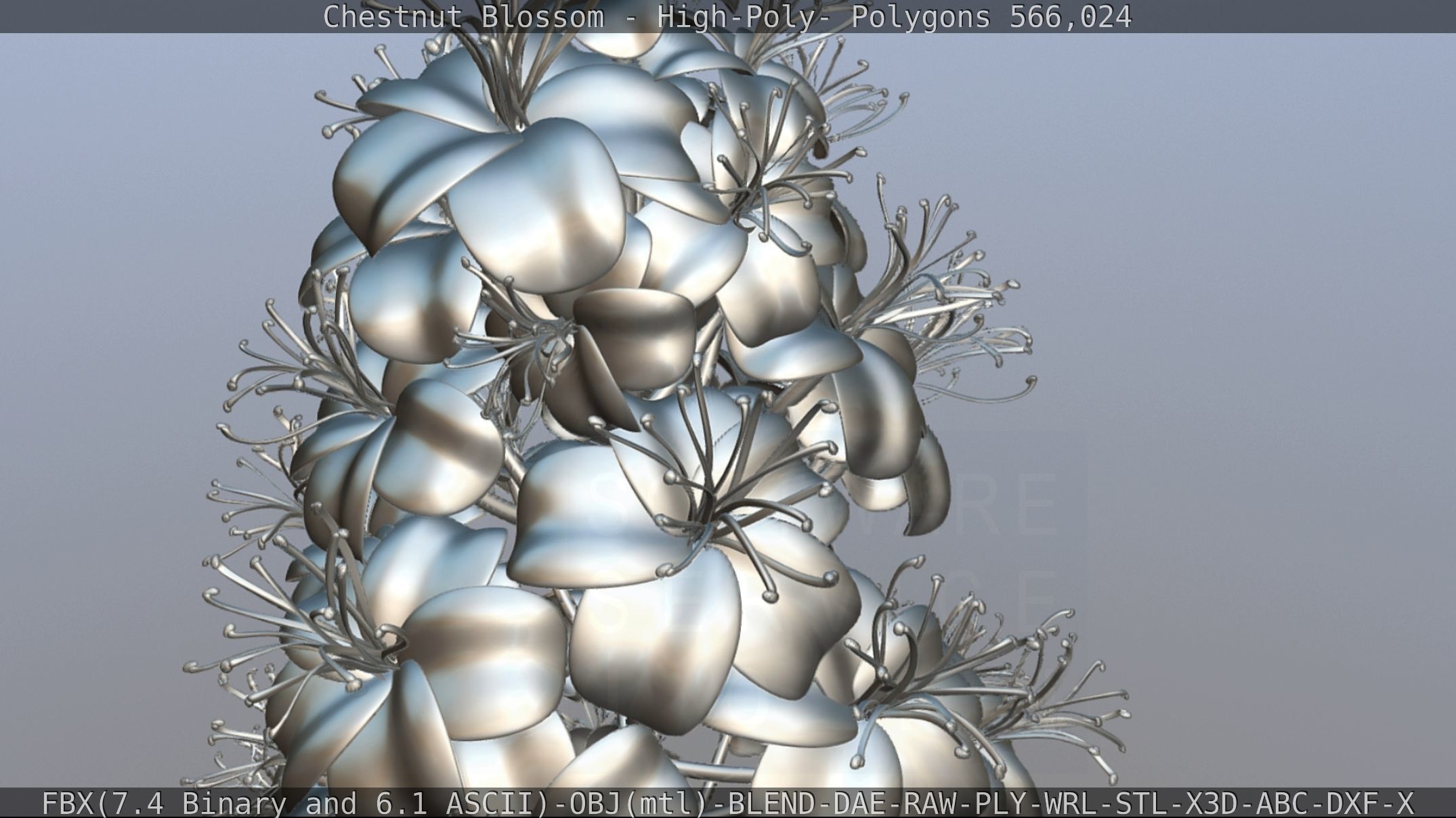 Chestnut Blossom High-Poly 3D model_112